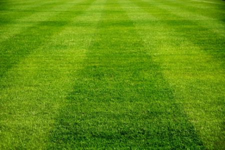 Benefits of Turf Aeration