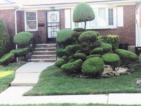NYC Brownstone Backyard Makeover: Design Rules That Prevent Costly Re-Dos