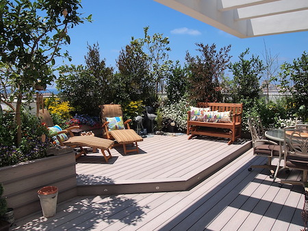 Rooftop Gardens in NYC: What Homeowners Should Know Before Building Up High