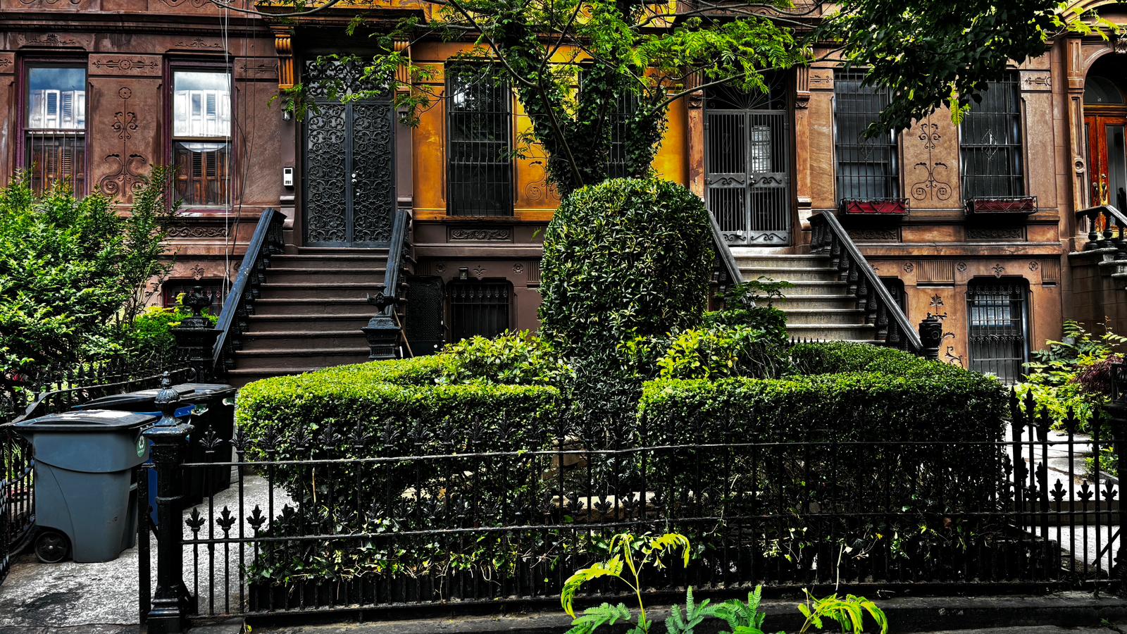 Bed-Stuy Bloom: Spring Clean-Up & Hedge Trim