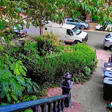 Bed-Stuy-Bloom-Spring-Clean-Up-Hedge-Trim 0