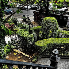 Bed-Stuy-Bloom-Spring-Clean-Up-Hedge-Trim 3