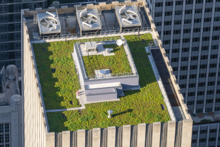 Green Roofing System Installations