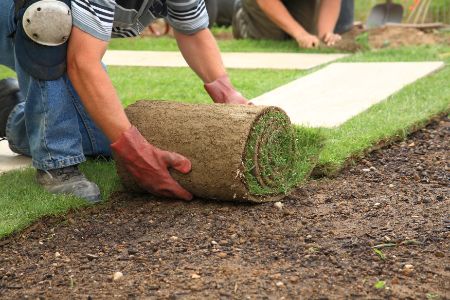 Turf Contractors Gilbert Az