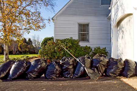 Yard Clean-up